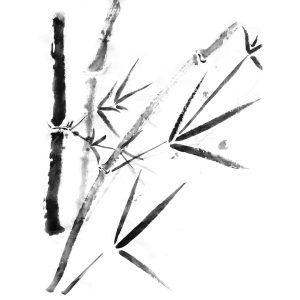 Tian Yuan & Di Yuan Workshop - Cape Town 1 Aug 2026