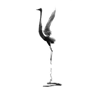 Tian Yuan & Di Yuan Workshop - Cape Town 30 May 2026