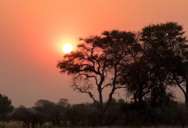 Sylvie Jutras Retreat Johannesburg March 2025 - Recordings